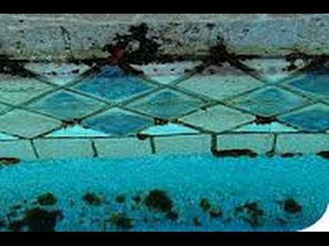 black algae in swimming pool cured by casual patio